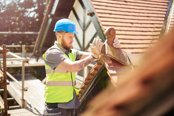 Best Roof Gutter Cleaning  in Lexington Hills, CA
